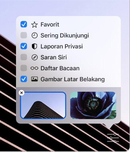 Menu pop-up Sesuaikan Safari dengan kotak centang untuk Favorit, Sering Dikunjungi, Laporan Privasi, Saran Siri, Daftar Bacaan, dan Gambar Latar Belakang.