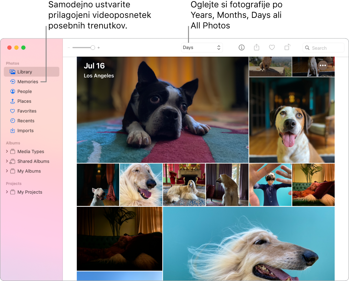 Okno aplikacije Photos, v katerem je v levi stranski vrstici prikazana funkcija Memories, na vrhu okna aplikacije Photos pa je pojavni meni, v katerem si lahko ogledate fotografije v svojem albumu po dnevu, tednu, mesecu ali letu.