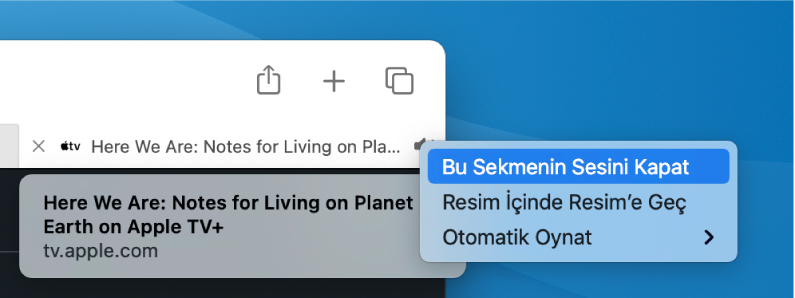 Ses simgesinin Bu Sekmenin Sesini Kapat, Resim İçinde Resim’e Geç ve Otomatik Oynat öğelerini içeren alt menüsü.