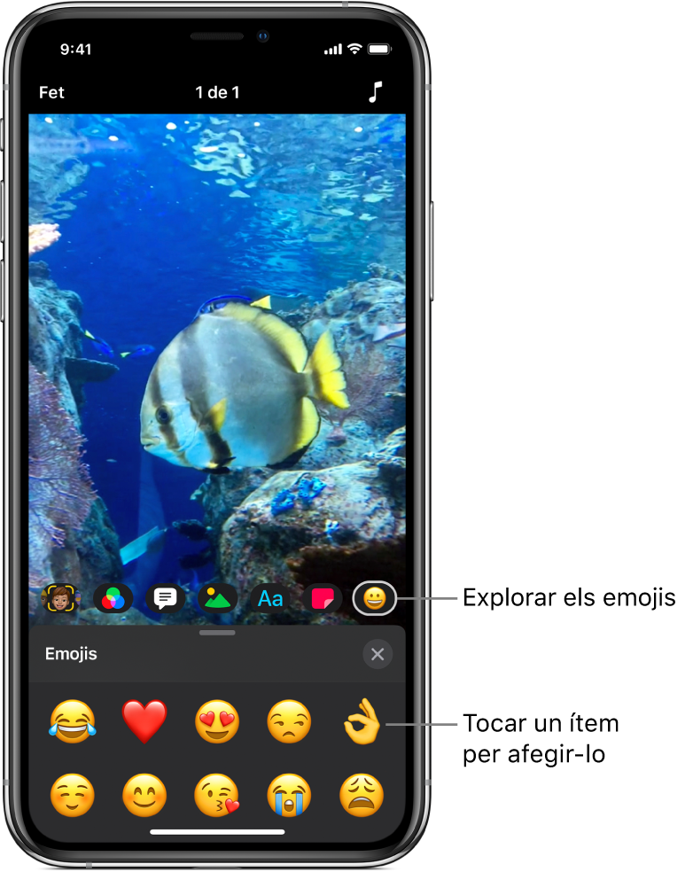 Una imatge de vídeo al visor, amb el botó Emojis seleccionat i els emojis a la part inferior.