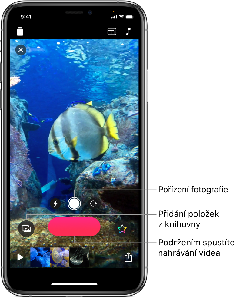 Snímek videa v prohlížeči s ovládacími prvky kamery, tlačítkem nahrávání a miniaturami klipů použitých ve videu zobrazenými níže