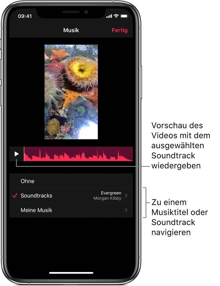 Die Taste „Wiedergabe“ und eine Audio-Wellenform unter einem Bild im Viewer mit Optionen zum Navigieren durch Soundtracks oder durch deine Musikmediathek.