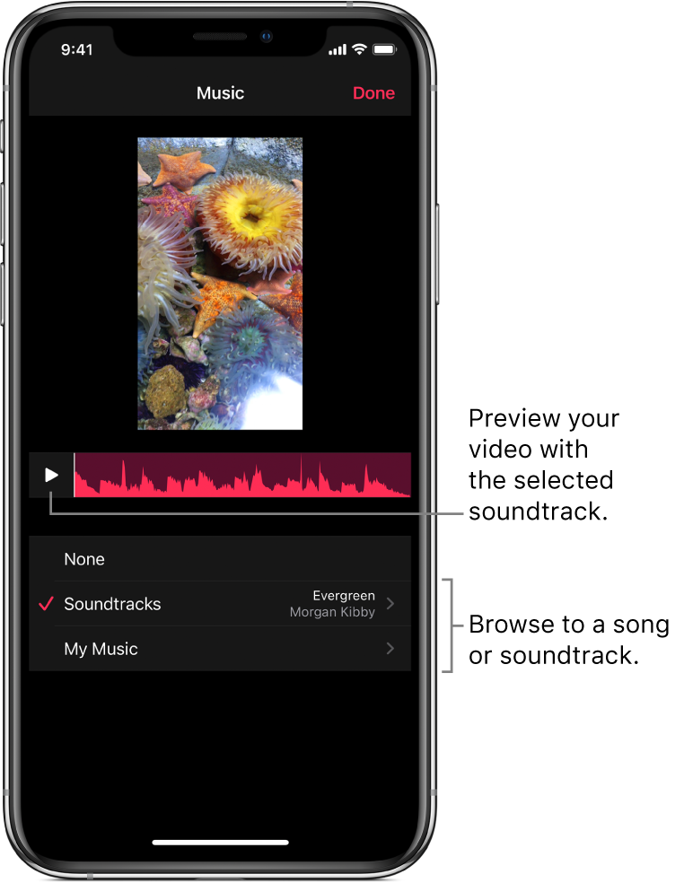 A Play button and an audio waveform below an image in the viewer, with options for browsing soundtracks or your music library.