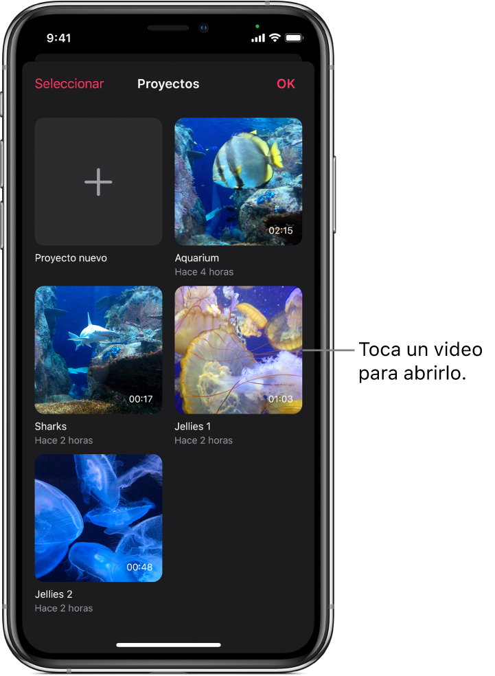 La pantalla Proyectos mostrando el botón “Nuevo proyecto” y miniaturas de los videos existentes.