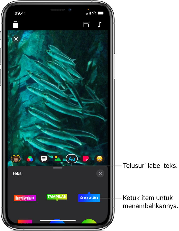 Gambar video di penampil, dengan tombol Teks dipilih dan opsi label teks ditampilkan di bawah.
