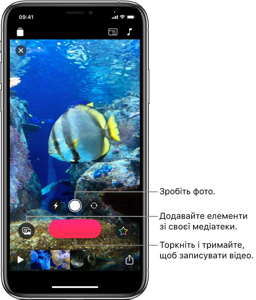Зображення відео в оглядачі, під яким показано елементи керування камерою, кнопку Запису й мініатюри кліпів у поточному відео.