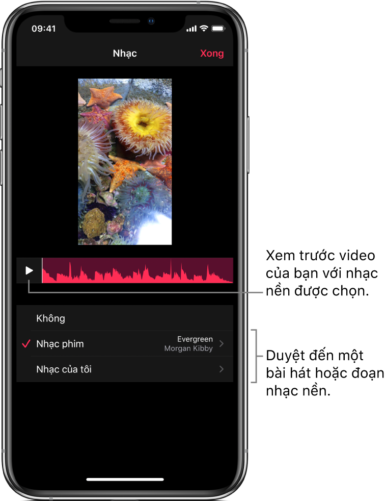 Nút Phát và dạng sóng âm thanh bên dưới hình ảnh trong trình xem, với các tùy chọn để duyệt các đoạn nhạc phim hoặc thư viện nhạc của bạn.
