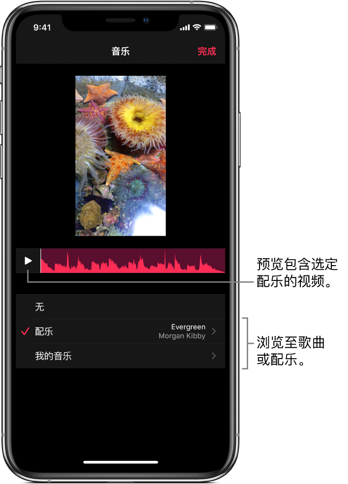 检视器中图像下方的“播放”按钮和音频波形，其中包含用于浏览配乐或音乐资料库的选项。