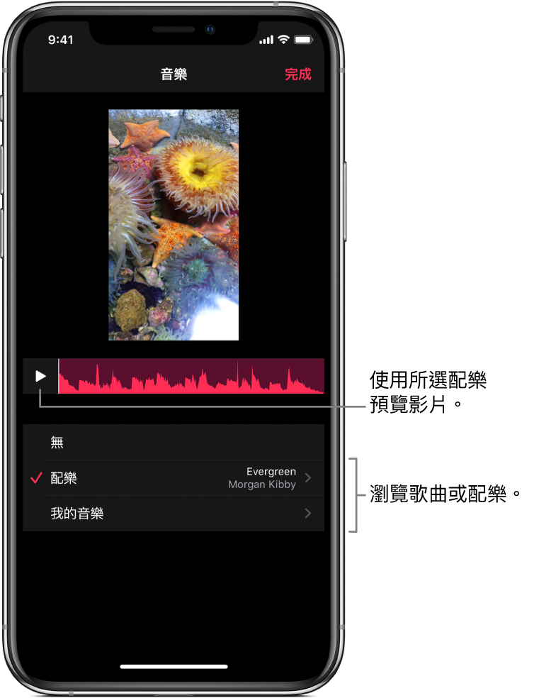 檢視器中影像下方顯示播放按鈕和音訊波形，帶有瀏覽配樂或音樂資料庫的選項。