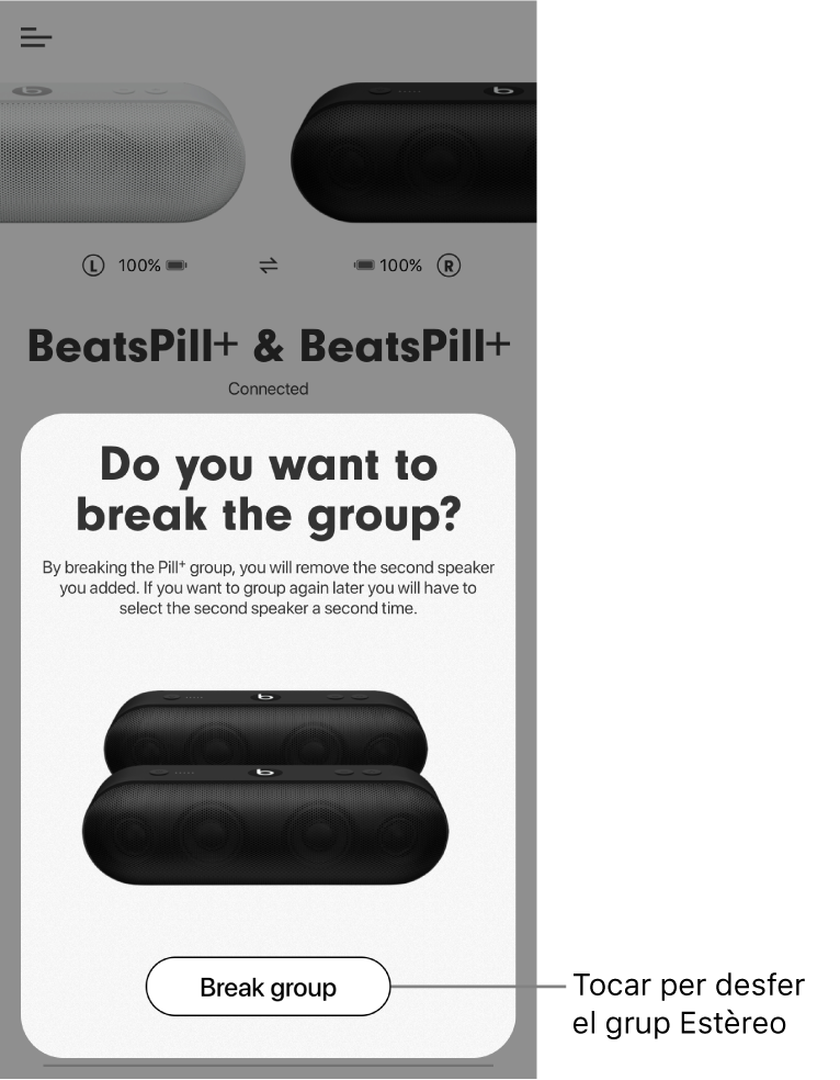 App Beats que mostra la targeta “Desfer el grup”