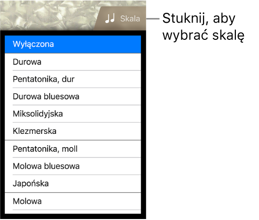 Przycisk skali instrumentu Basy oraz lista skal