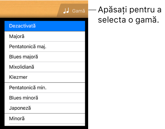 Buton gamă Chitară și listă Gamă