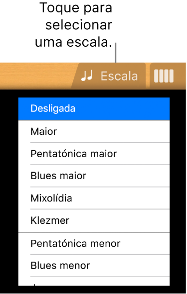 Botão Escala da Guitarra