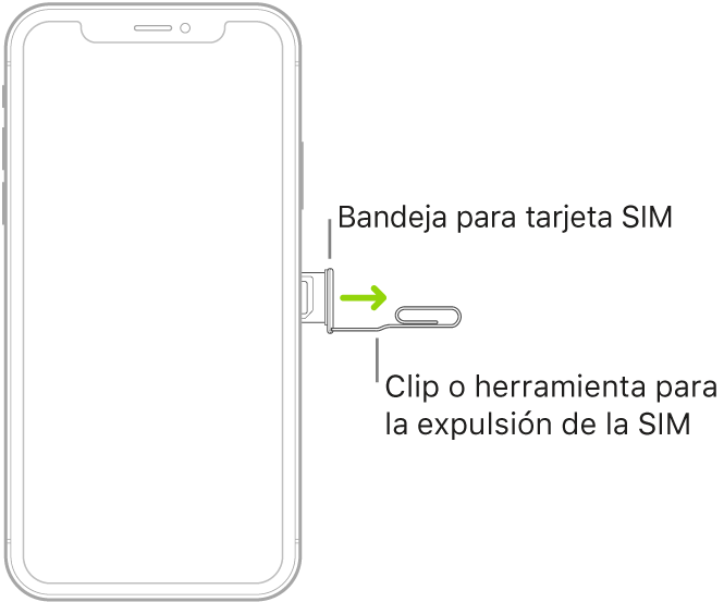 Se inserta un clip de papel o la herramienta para retirar la tarjeta SIM en el pequeño orificio de la bandeja situada en el lateral derecho del iPhone para extraer la bandeja y retirarla.