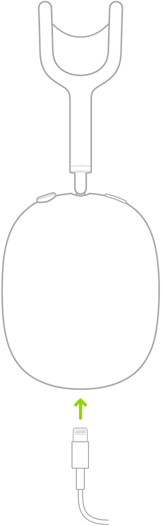 Ilustracija kabela za napajanje spojenog na AirPods Max slušalice.