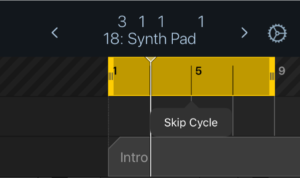 Figure. Showing the Skip Cycle menu option above the yellow cycle area.