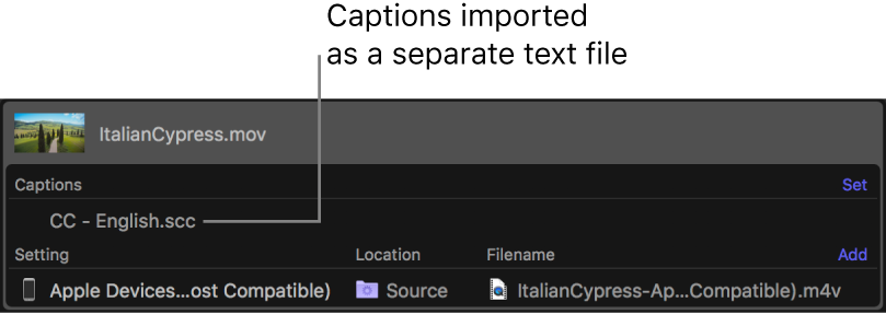 Stapelbereich mit einer Datei mit den Untertiteln, die als separate Textdatei hinzugefügt wurden