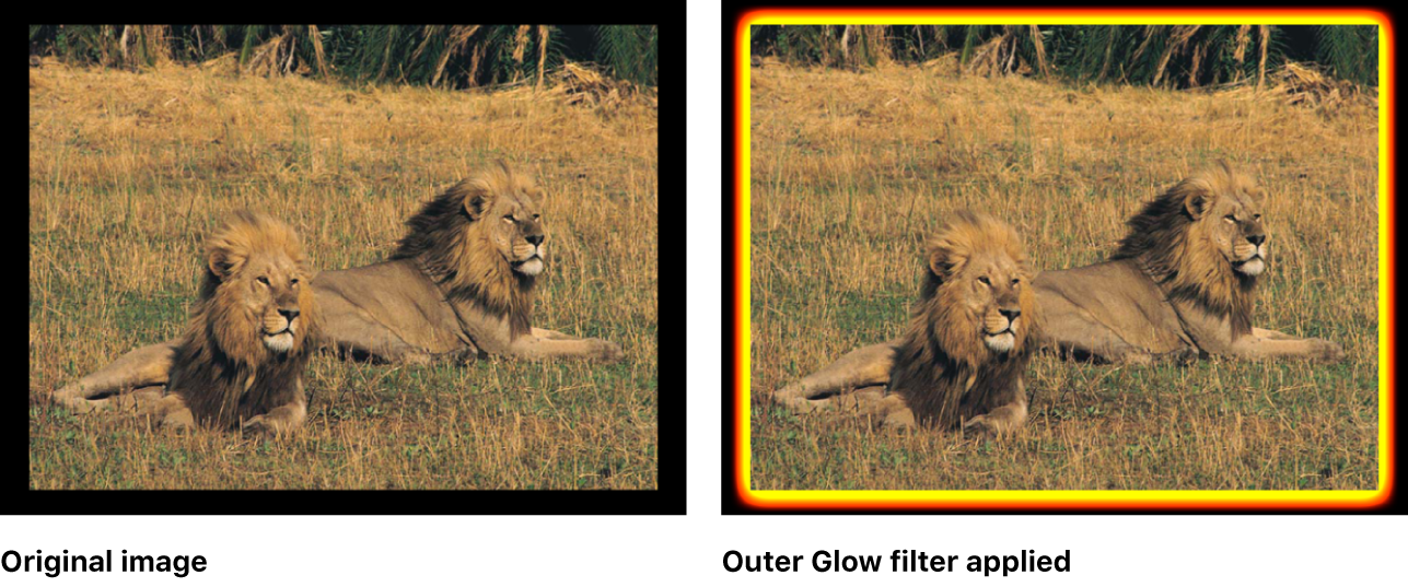 Canvas showing effect of Outer Glow filter