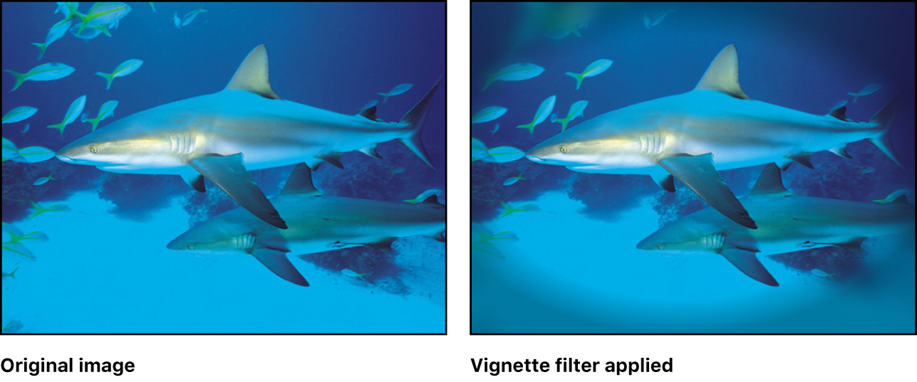 Canvas showing effect of Vignette filter