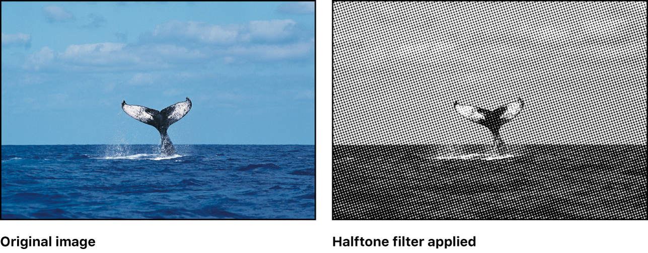 Canvas showing effect of Halftone filter