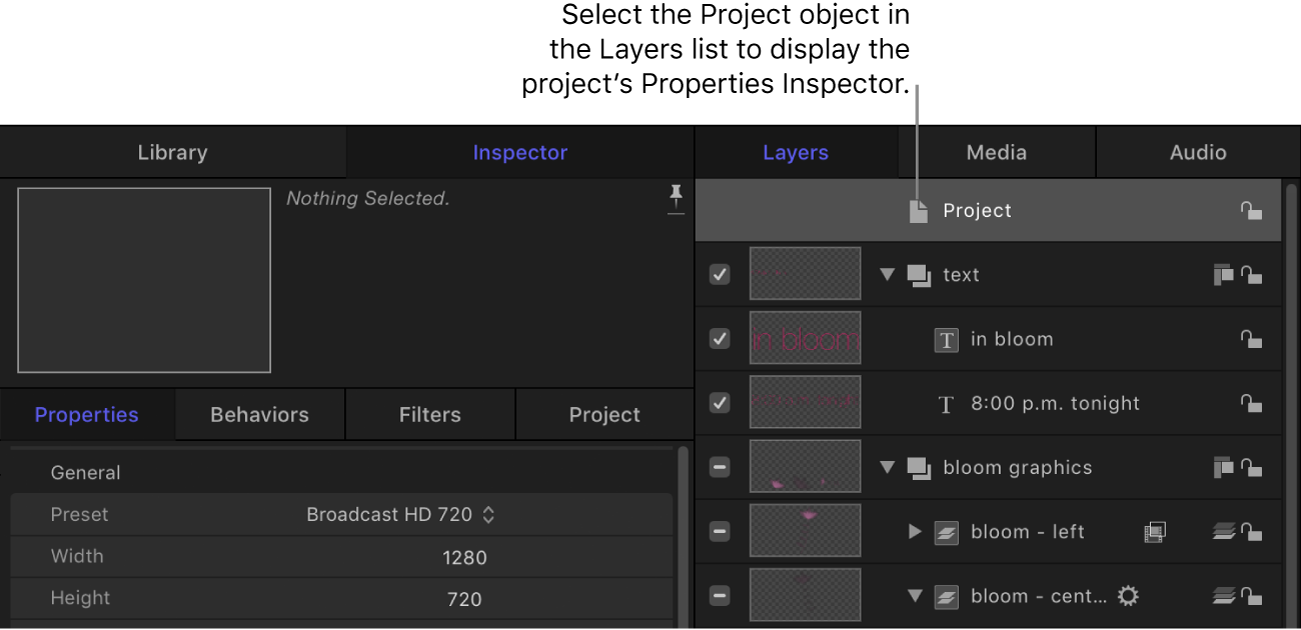 Project object selected in Layers list