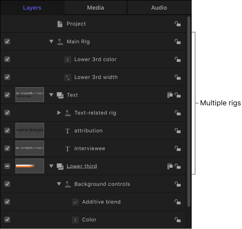 Layers list showing multiple rigs
