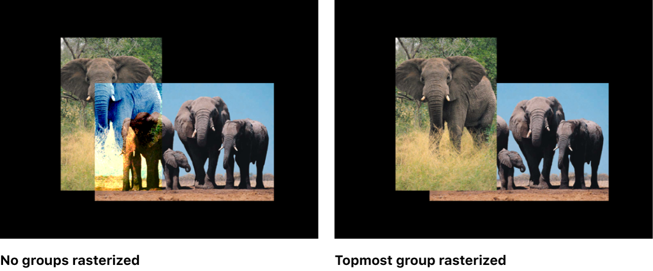 Lienzo que muestra los grupos 2D antes y después de la rasterización