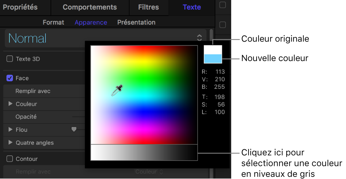 Palette des couleurs affichant les échantillons de couleurs d’origine et nouveau, ainsi que la zone de sélection de couleur en niveaux de gris