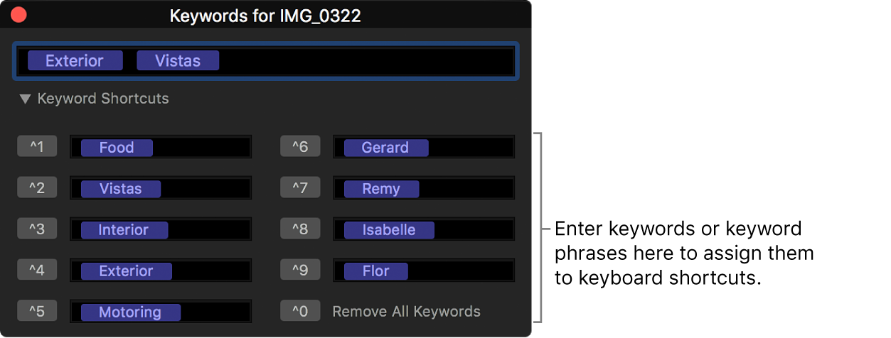 The keyword editor showing keyword shortcut fields