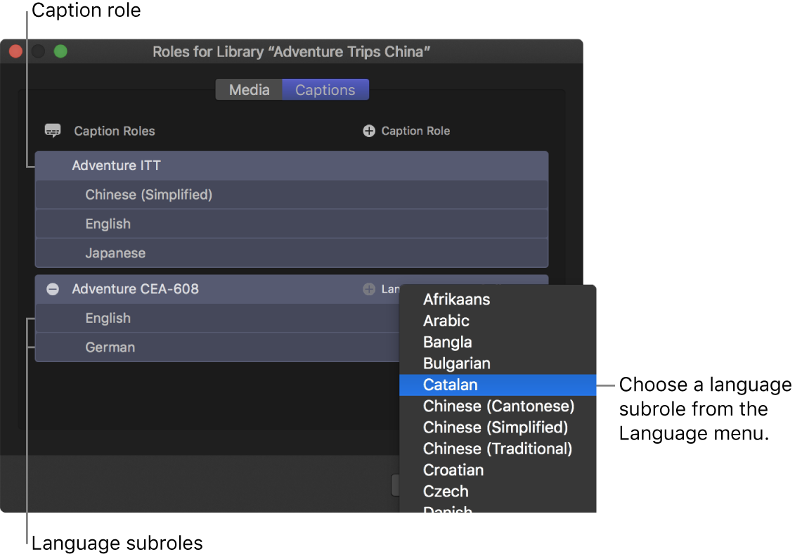 El panel “Subtítulos opcionales” del editor de funciones con dos funciones de subtítulos con subfunciones de idioma abajo, y un menú para seleccionar el idioma