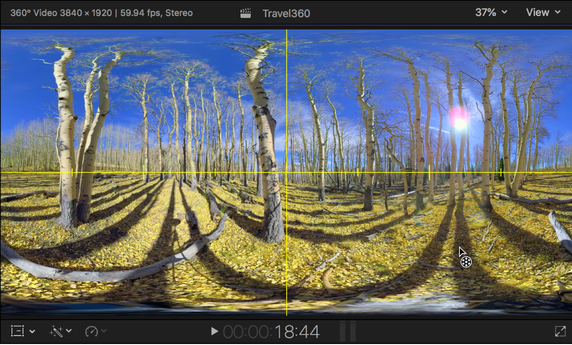 360°ビデオクリップに黄色の「水平線」ガイドラインが表示されているビューア