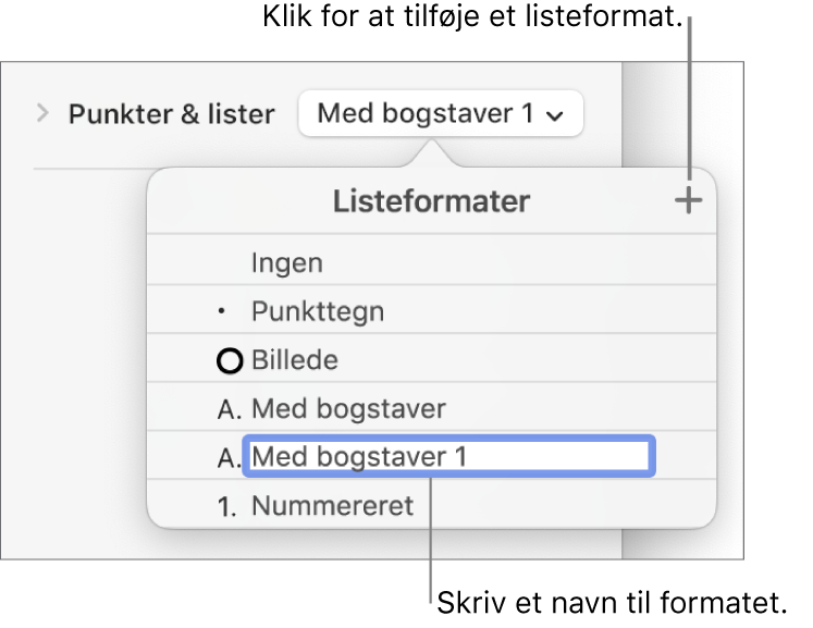 Lokalmenuen Listeformater med knappen Tilføj i øverste højre hjørne og et eksempel på et formatnavn med teksten valgt.