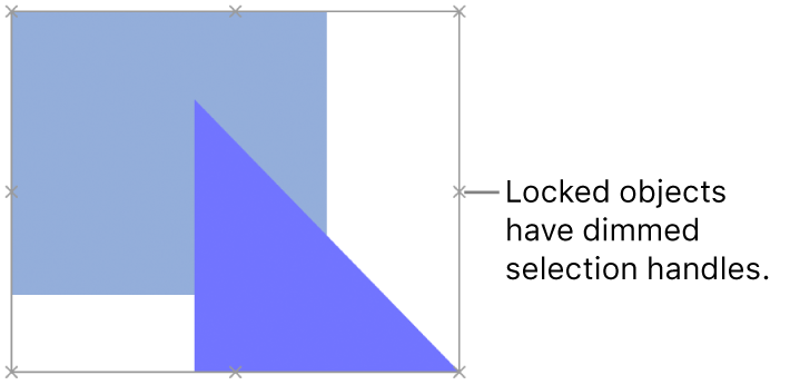 Locked objects with dimmed selection handles.