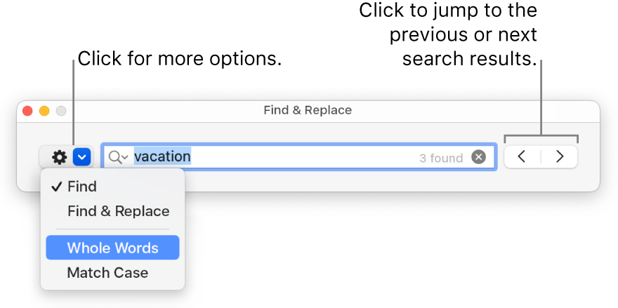 The Find & Replace window with callouts to the button to show options for Find, Find & Replace, Whole Words and Match Case. Arrows on the right let you jump to the previous or next search results.