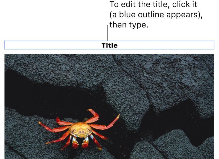 The placeholder title, “Title”, appears below a photo; a blue outline around the title field shows it’s selected.