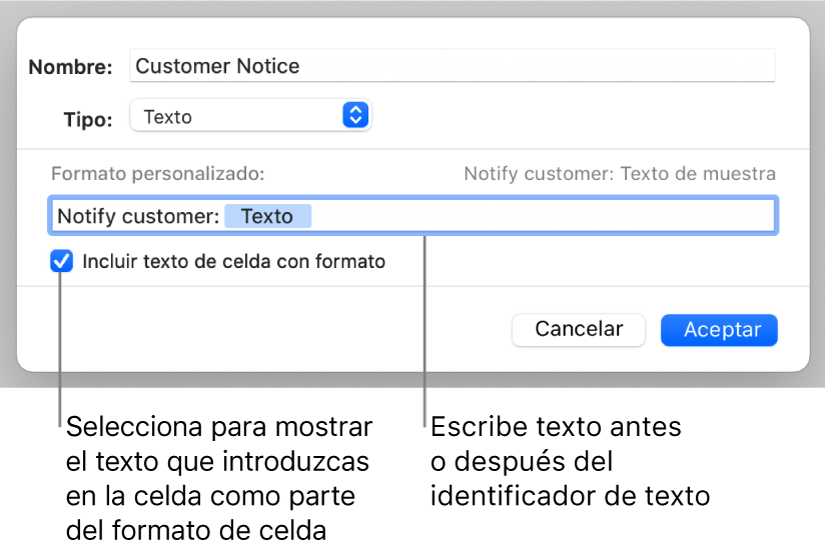 Formato de celda de texto personalizada.