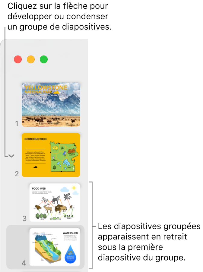 Le navigateur de diapositives qui affiche des diapositives en retrait.