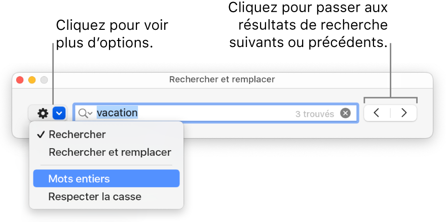 Fenêtre Rechercher et remplacer avec les légendes du bouton pour afficher les options de Rechercher, Rechercher et remplacer, Mots entiers, Respecter la casse. Les flèches à droite vous permettent d’accéder au résultat de la recherche suivant ou précédent.