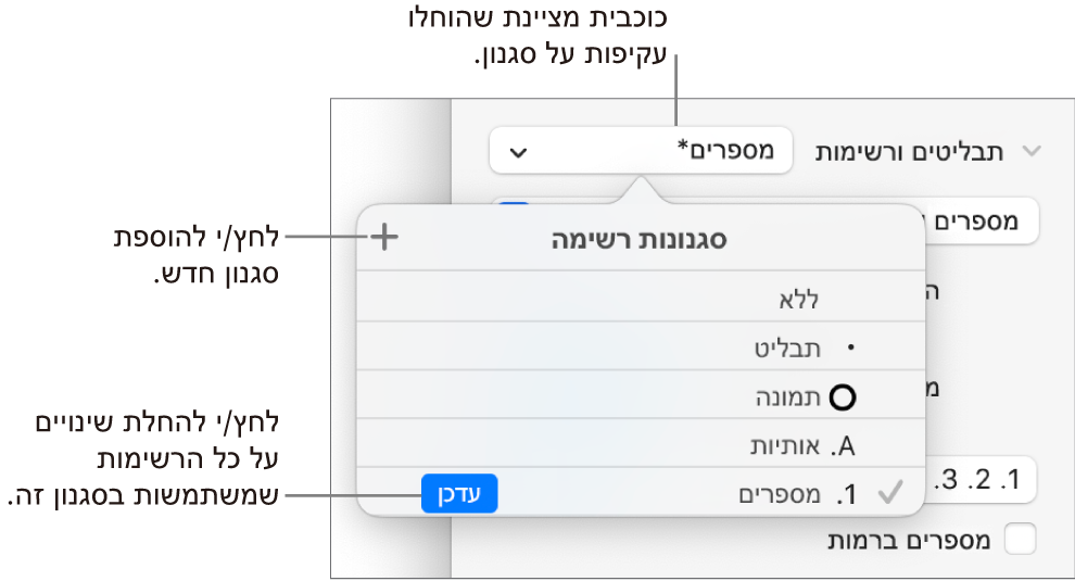 התפריט הקופצני ״סגנונות רשימה״ עם כוכבית המציינת החלפה, הסבר לכפתור ״סגנון חדש״ ותפריט משנה עם אפשרויות לניהול סגנונות.