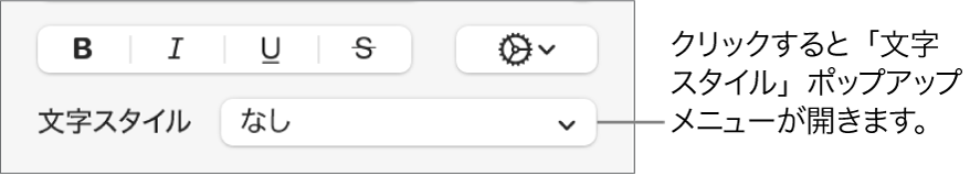「文字スタイル」ポップアップメニュー。上にはテキストスタイルや色を変更するためのコントロールがあります。
