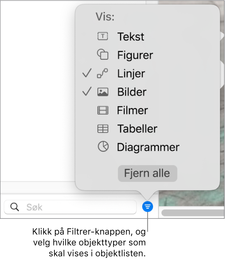 Filtrer-lokalmenyen er åpen og viser en liste over objekttypene som listen kan inneholde (tekst, figurer, linjer, bilder, filmer, tabeller og diagrammer).