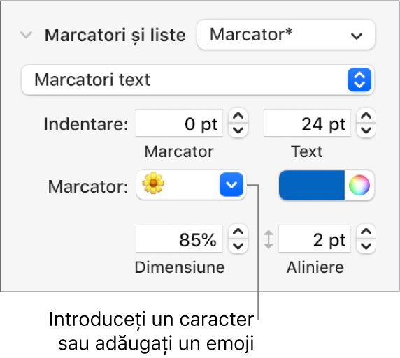 Secțiunea Marcatori și liste din bara laterală Format. Câmpul Marcatori afișează un emoji floare.