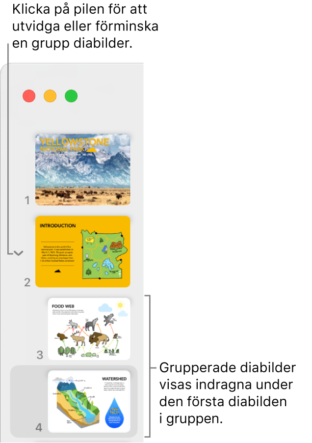 Diabildsnavigatorn med indragna diabilder.