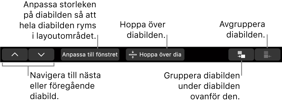 Touch Bar på MacBook Pro med reglage för att navigera till nästa eller föregående diabild, anpassa diabilden efter diabildslayoutområdet, hoppa över en diabild och för att gruppera eller avgruppera en diabild.