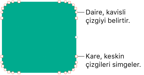 Düzenlenebilir noktalı şekil.