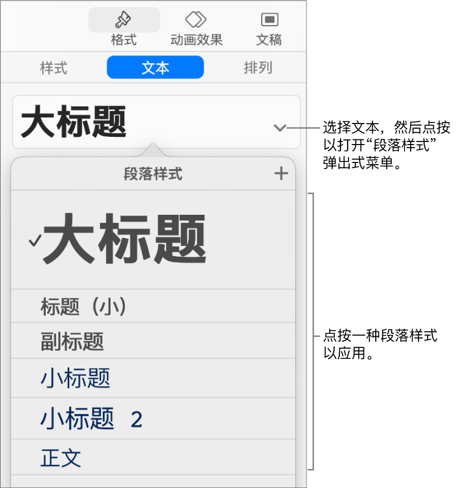 在所选样式旁有勾号的“段落样式”菜单。