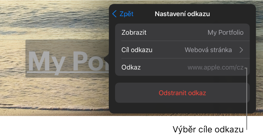 Ovládací prvky Nastavení odkazu s polem Zobrazit, Cíl odkazu (vybrána je Webová stránka) a Odkaz. Ve spodní části se nachází tlačítko Odstranit odkaz.