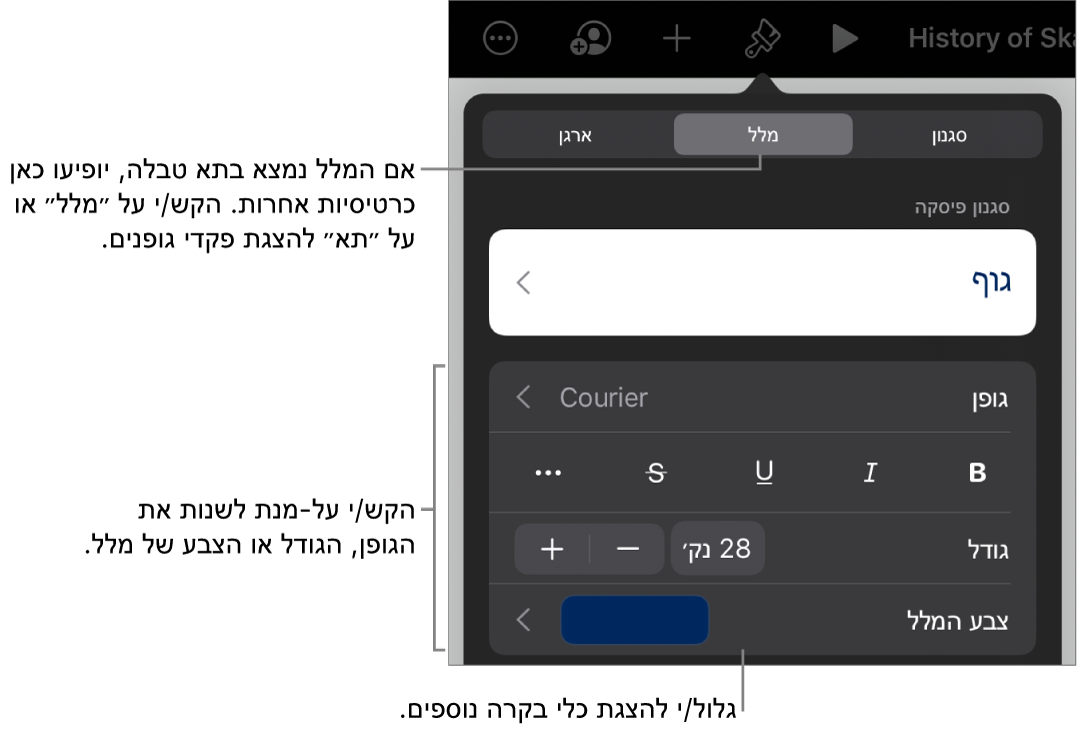 כלי בקרה של מלל בתפריט ״עיצוב״ להגדרת סגנונות, גופן, גודל וצבע עבור פיסקאות ותווים.