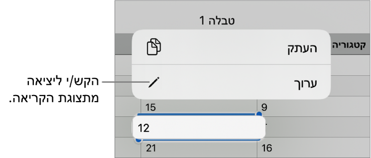 נבחר תא בטבלה, ומעליו מופיע תפריט עם הכפתורים ״העתק״ ו״עריכה״.