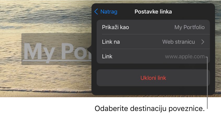 Kontrole Postavke linkova s poljem Prikaži, Link na (odabrana je Web stranica) i Link. Tipka Ukloni link nalazi se pri dnu.